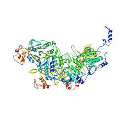 BU of 8amd by Molmil