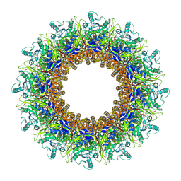 BU of 8aox by Molmil