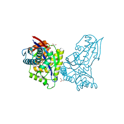 BU of 8ap0 by Molmil