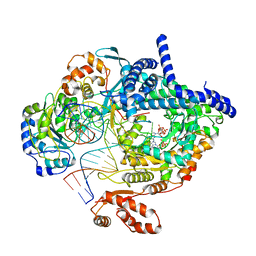 BU of 8ap1 by Molmil