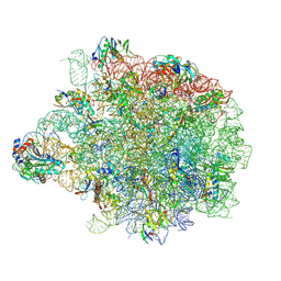 BU of 8ap4 by Molmil