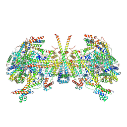 BU of 8ap7 by Molmil