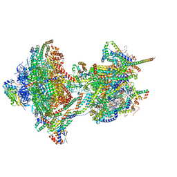 BU of 8apc by Molmil