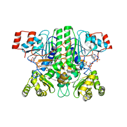 BU of 8apq by Molmil