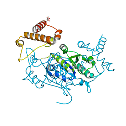 BU of 8apv by Molmil