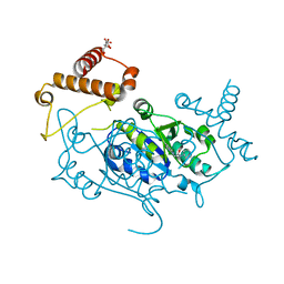 BU of 8apw by Molmil