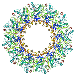 BU of 8apx by Molmil