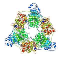 BU of 8arp by Molmil