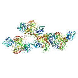 BU of 8asc by Molmil