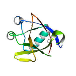AU of 8asq by Molmil