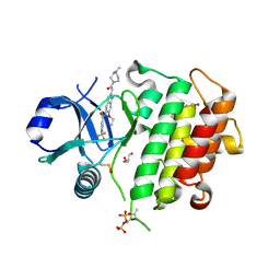 BU of 8atb by Molmil