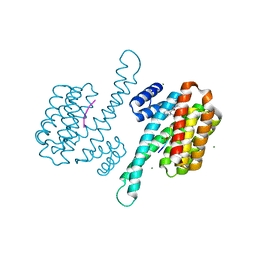 BU of 8atp by Molmil