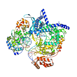 BU of 8atw by Molmil