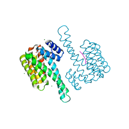 BU of 8au2 by Molmil