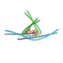 AU of 8auc by Molmil