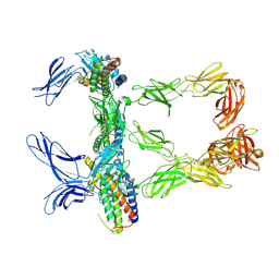 BU of 8avc by Molmil