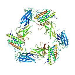 BU of 8avd by Molmil