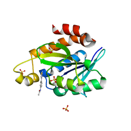 BU of 8axp by Molmil