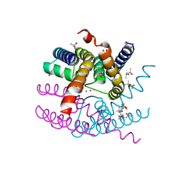 BU of 8ayp by Molmil