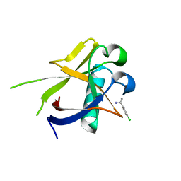 AU of 8ayw by Molmil