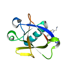 AU of 8az9 by Molmil