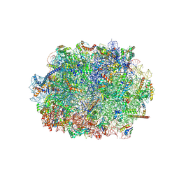 BU of 8azw by Molmil