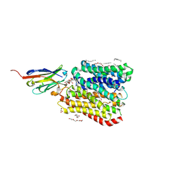 BU of 8b1c by Molmil