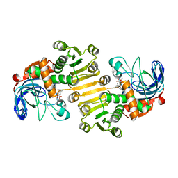 BU of 8b1v by Molmil