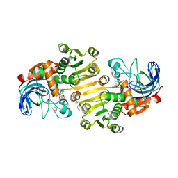 BU of 8b25 by Molmil