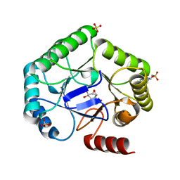 BU of 8b2c by Molmil