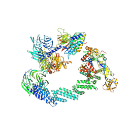 BU of 8b3g by Molmil