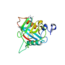 BU of 8b58 by Molmil