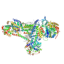 BU of 8b6g by Molmil