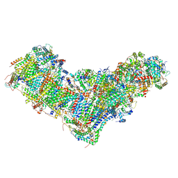 BU of 8ba0 by Molmil