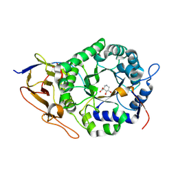 BU of 8bac by Molmil