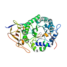 AU of 8bac by Molmil