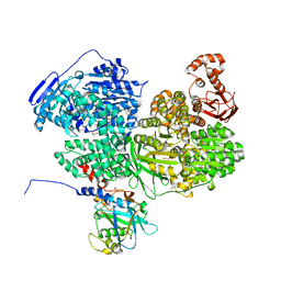 BU of 8bc8 by Molmil