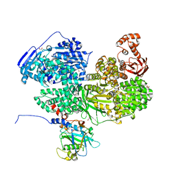 BU of 8bca by Molmil