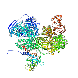 BU of 8bcb by Molmil