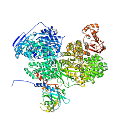 BU of 8bcc by Molmil