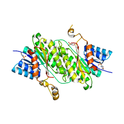 BU of 8bci by Molmil