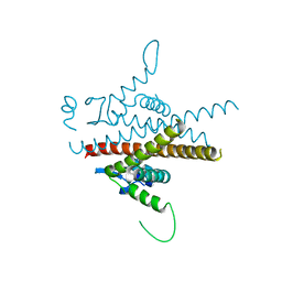 BU of 8bcl by Molmil