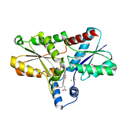 AU of 8bcn by Molmil