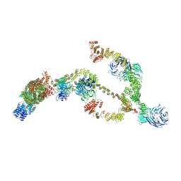 BU of 8bda by Molmil