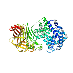 BU of 8bdd by Molmil