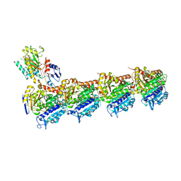 BU of 8bdf by Molmil