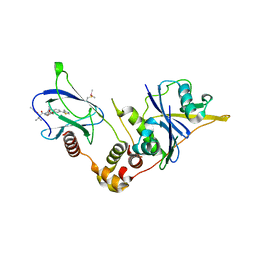 BU of 8bdl by Molmil