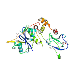 BU of 8bdm by Molmil