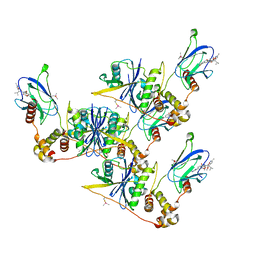 AU of 8bdm by Molmil