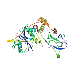 BU of 8bdm by Molmil